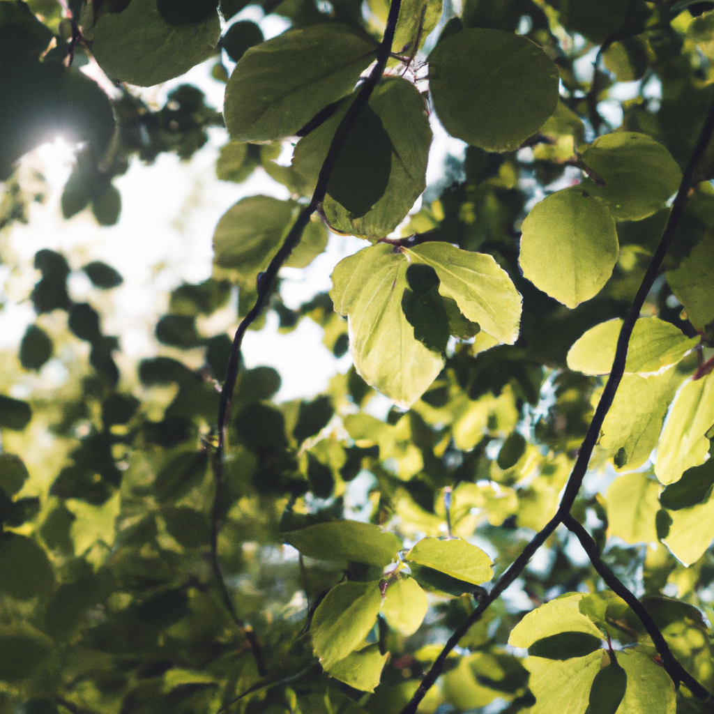 Benefits of Choosing Proxies in Different Geographical Locations for Improved Performance